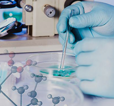 مكونات عطرية أساسية ومركبات وسيطة